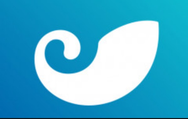 trust钱包在美国可以使用吗(trust钱包安全吗)